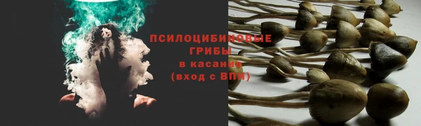 spice Беломорск