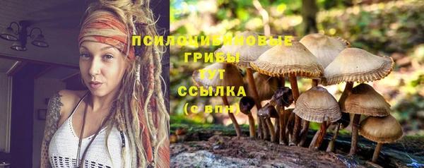 spice Беломорск