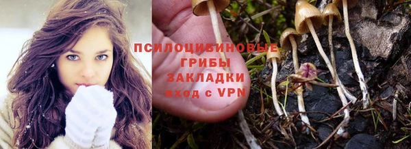 спиды Белоозёрский